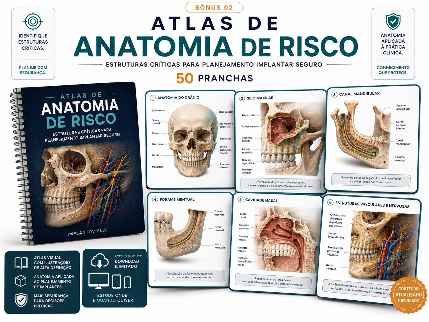 Atlas de Anatomia de Risco com 50 pranchas